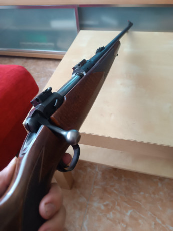 Buenas,
Se pone en venta magnífico rifle en calibre .300 win mag.
Guiado en D.
Se encuentra en Zaragoza 02
