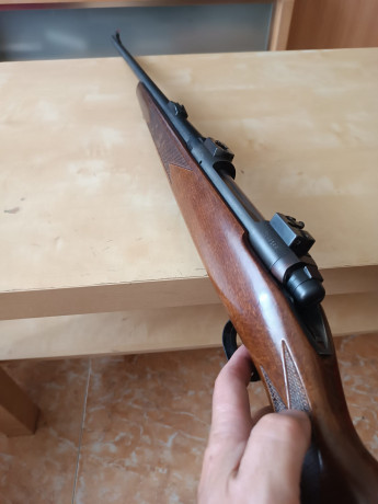 Buenas,
Se pone en venta magnífico rifle en calibre .300 win mag.
Guiado en D.
Se encuentra en Zaragoza 01