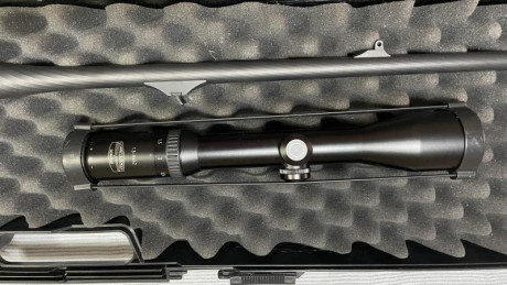 Rifle mannlicher luxus 243w + cañón 270w. gatillo al pelo. bases apel en los 2 cañones. 2 cargadores. 01