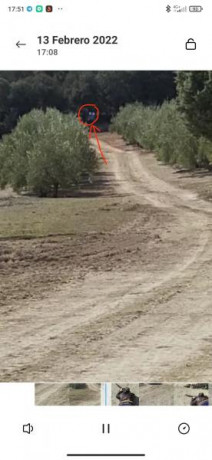 Hola buenas, el lunes recogí mi nuevo rifle, un Bergara hmr wilderness en calibre 300winmag, ahora estoy 61