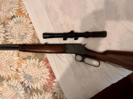 Se vende carabina Miroku de palanca, en muy buen estado, calibre 22. Incluye visor.
El arma se encuentra 10