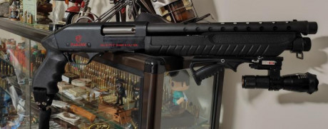 Nueva escopeta Smith Wesson MP12, interesante oferta.

 dWMTjaOYDA  172