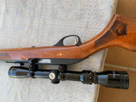 Hola a todos:

Vendo esta carabina del 22lr. Lleva muchos años en la familia, está usada pero nunca con 20