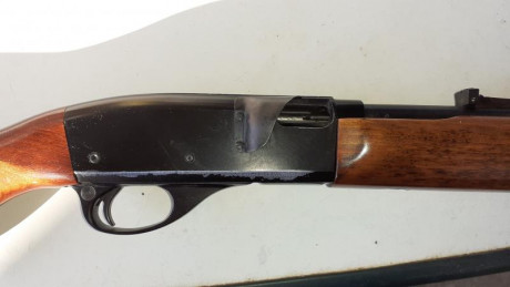 Pongo a la venta una carabina del calibre 22 L.R. de la marca Remington modelo 552 , es semiautomatica.
El 02