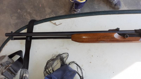 Pongo a la venta una carabina del calibre 22 L.R. de la marca Remington modelo 552 , es semiautomatica.
El 11