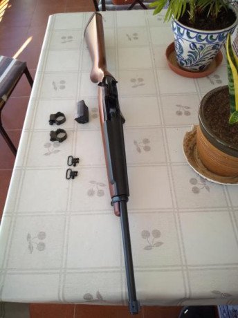 "VENDIDA" RUGER Deerfield cal. 44 Magnum.
El arma se encuentra en excelente estado, dispone 02