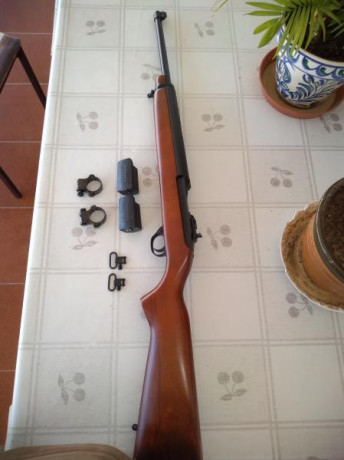 "VENDIDA" RUGER Deerfield cal. 44 Magnum.
El arma se encuentra en excelente estado, dispone 01