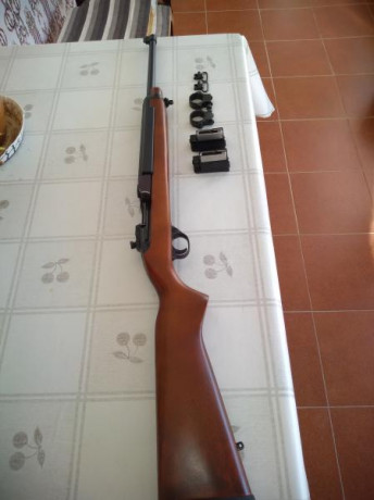"VENDIDA" RUGER Deerfield cal. 44 Magnum.
El arma se encuentra en excelente estado, dispone 00