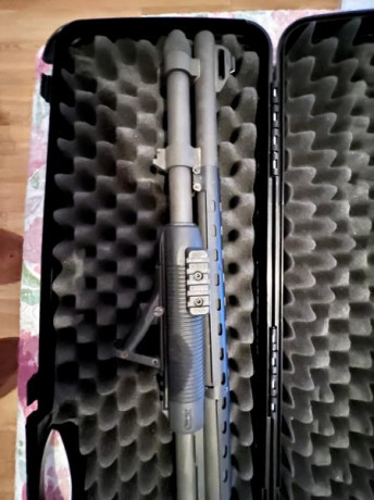 Vendo mi Mossberg Blackwater 590A1 en buen estado, incluye maletín rígido. Está en Asturias. Poco se puede 00