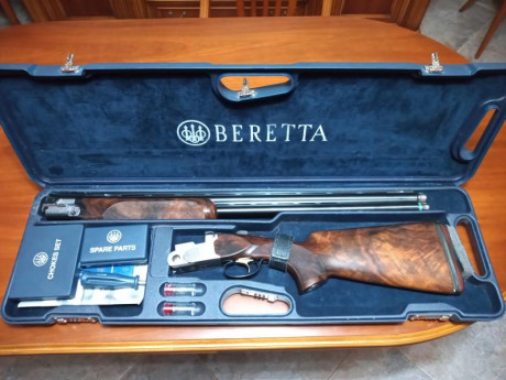 Vendo Beretta DT10 Trident Sporting en muy buen estado,perfecta de ajustes. Tiene cañon de 71cm,maletín,choques 01