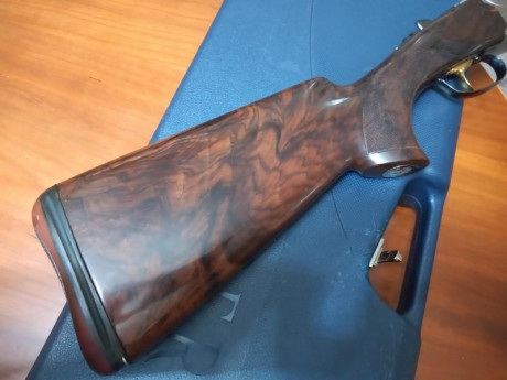 Vendo Beretta DT10 Trident Sporting en muy buen estado,perfecta de ajustes. Tiene cañon de 71cm,maletín,choques 12