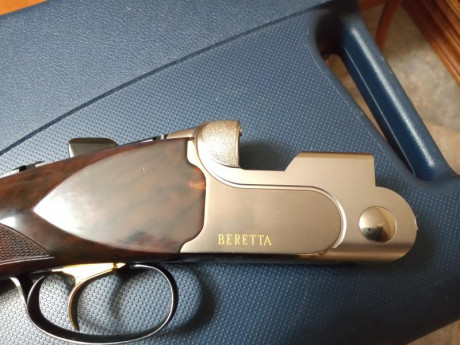 Vendo Beretta DT10 Trident Sporting en muy buen estado,perfecta de ajustes. Tiene cañon de 71cm,maletín,choques 11