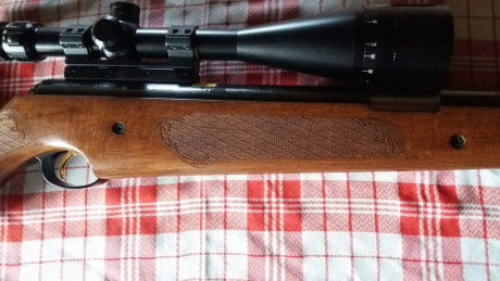 - Vendo Air Arms Pro Sport Cal. 177/ 4,5mm, está en buen estado, pido por ella 400.- portes a parte, únicamente 02