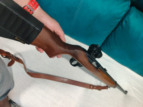 Buenas, un amigo me ha pedido que le ponga un anuncio. 
Ruger en buen estado con punto rojo vortex.por 02