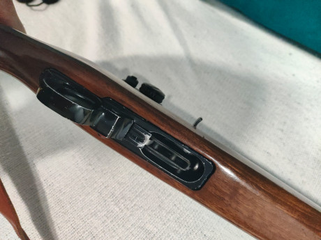 Buenas, un amigo me ha pedido que le ponga un anuncio. 
Ruger en buen estado con punto rojo vortex.por 01