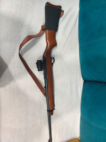 Buenas, un amigo me ha pedido que le ponga un anuncio. 
Ruger en buen estado con punto rojo vortex.por 12
