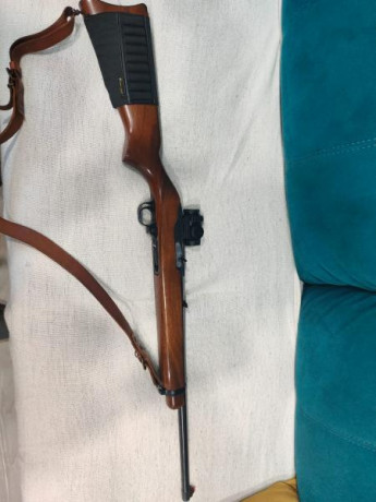Buenas, un amigo me ha pedido que le ponga un anuncio. 
Ruger en buen estado con punto rojo vortex.por 10