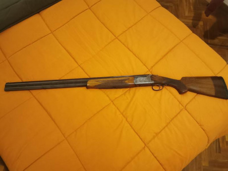 Cambio rifle sako calibre 375 h&h Magnum
Por escopeta de plato o esportin 20