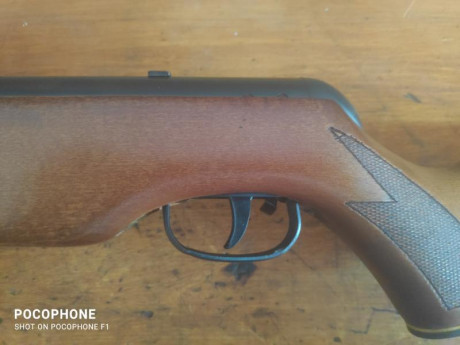 Lo dicho, pongo a la venta una gamo Magnum calibre 5,5 funciona perfectamente y agrupa bastante bien la 12