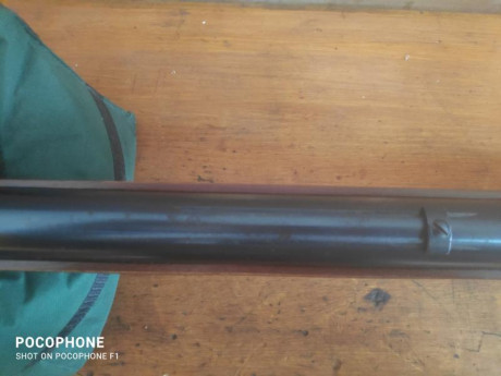 Lo dicho, pongo a la venta una gamo Magnum calibre 5,5 funciona perfectamente y agrupa bastante bien la 11