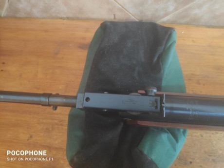Lo dicho, pongo a la venta una gamo Magnum calibre 5,5 funciona perfectamente y agrupa bastante bien la 10