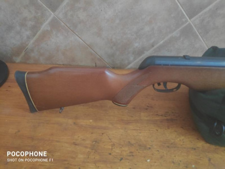 Lo dicho, pongo a la venta una gamo Magnum calibre 5,5 funciona perfectamente y agrupa bastante bien la 21