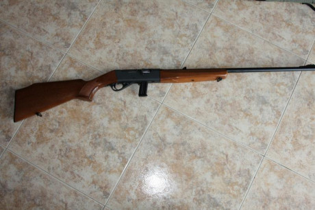 casi niño en mi casa existió un winchester 63 que era una belleza, también un winchester 190, con el tiempo 40