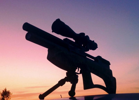 Bueno, para animar el foro un poco, propongo colgar fotos de dianas y arma usada para ello, pudiendo ser 82