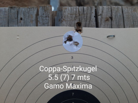 Bueno, para animar el foro un poco, propongo colgar fotos de dianas y arma usada para ello, pudiendo ser 121