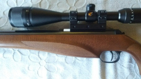 - Vendo carabina Diana 350 N-Tec calibre 4,5, su estado es absolutamente impecable, no ha tirado ni una 01
