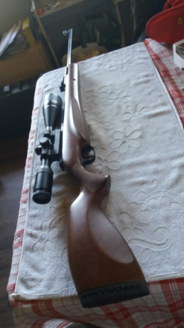 - Vendo carabina Diana 350 N-Tec calibre 4,5, su estado es absolutamente impecable, no ha tirado ni una 00