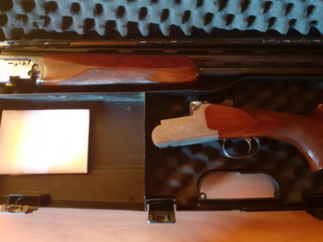 Buenas, vendo estas dos superpuestas:
BERETTA ULTRA LIGHT
Con sus cinco polichokes
Expulsora
Selector 01