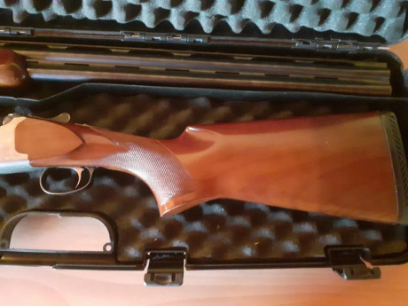 Buenas, vendo estas dos superpuestas:
BERETTA ULTRA LIGHT
Con sus cinco polichokes
Expulsora
Selector 00