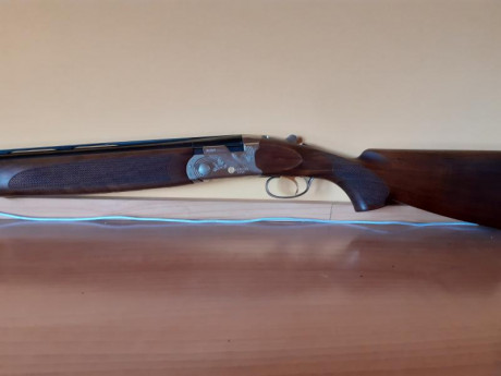 Buenas, vendo estas dos superpuestas:
BERETTA ULTRA LIGHT
Con sus cinco polichokes
Expulsora
Selector 12