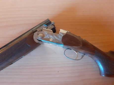 Buenas, vendo estas dos superpuestas:
BERETTA ULTRA LIGHT
Con sus cinco polichokes
Expulsora
Selector 11