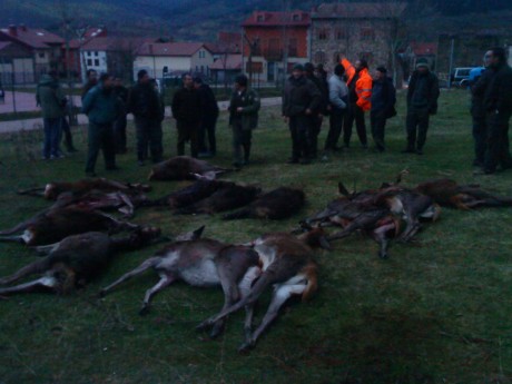   LOS ALMUERZOS DE CAZA MENOR NO CUENTAN  

Los veteranos ya sabéis como funciona esto, pero por si acaso 01