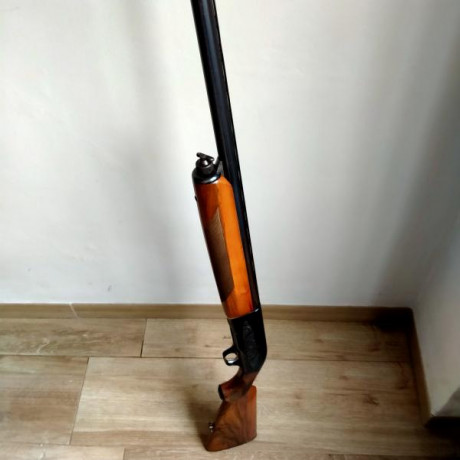  VENDIDAS 

Se venden DOS Berettas Modelo 301:
 Una mimetizada ideal para zorzal (tordo) y migratorias, 00