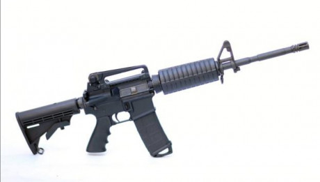 Hola. Busco un AR-15 Carbine en .222, pero (importante), que tenga la culata, asa de transporte extraible, 00