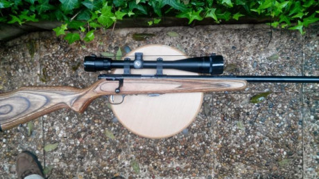 Vendo carabina Savage BRJ en madera laminada, cañón pesado con visor. Se puede ver en Madrid y probar 02
