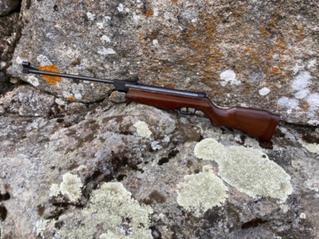 Lo dicho, vendo mi primera carabina, una Gamo Cadet S comprada en 1989, calibre 4.5, el estado es bastante 02