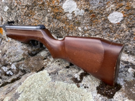 Lo dicho, vendo mi primera carabina, una Gamo Cadet S comprada en 1989, calibre 4.5, el estado es bastante 00