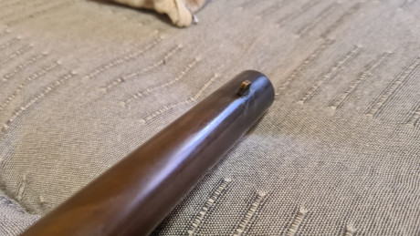 Harpers ferry Zoli, con turquesa Palmeto de acero, del 58 450 euros. tiene algun tiempo pero tira muy 22