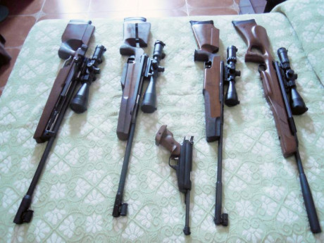 Hola, por ahora tengo una Brno Mod2 .22 y 2 pistolas y queria comprar las baquetas definitivas para toda 141