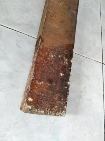 Hola
pongo a la venta una pieza precortada de nogal de la fabrica de armas de Oviedo para fabricar culatas 02