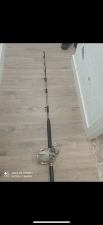 Varios equipos de pesca para brumeo currican pesca al vivo…  con cañas los penn tienen algunos frenos 01