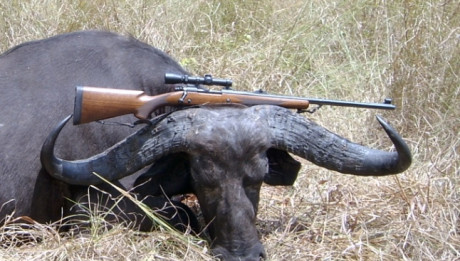 Vendo Rifle Winchester 70 pre-64. Mod. Safari Express.
Recamarado en 416 Rem. MAG.
Bases y anillas leupold 60