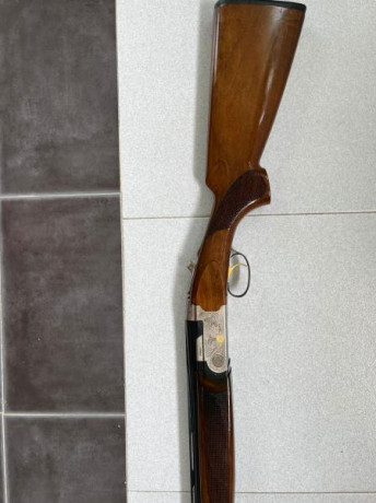  IMG-20221025-WA0010.jpg  IMG-20221025-WA0007.jpg  IMG-20221025-WA0005.jpg Hola vendo mi escopeta Beretta 01