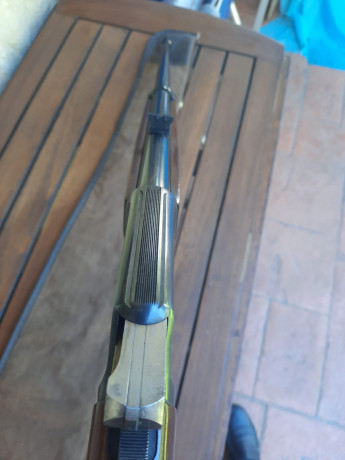 Vendo carabina en buen estado muy poco uso , muy buena precisión , está guiada con licencia  E , precio 02