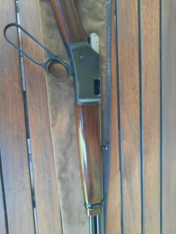 Vendo carabina en buen estado muy poco uso , muy buena precisión , está guiada con licencia  E , precio 01