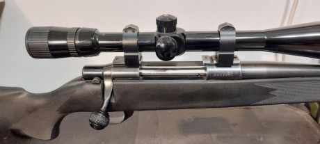 Buenas.
Calibre 300 win mag
Culata nueva
Cañon 63cm
Cambiaria este rifle, solo rifle con bases por un 00
